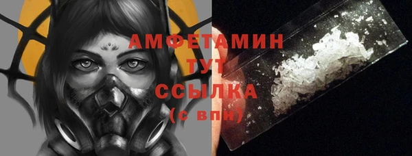 прущие грибы Кукмор