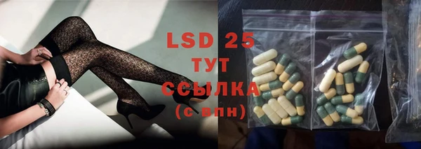 прущие грибы Кукмор