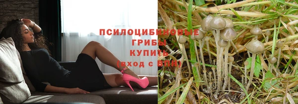 гашик Куйбышев