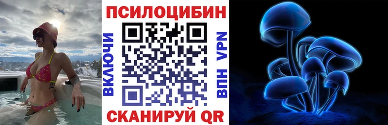 Псилоцибиновые грибы Cubensis  Курчатов 