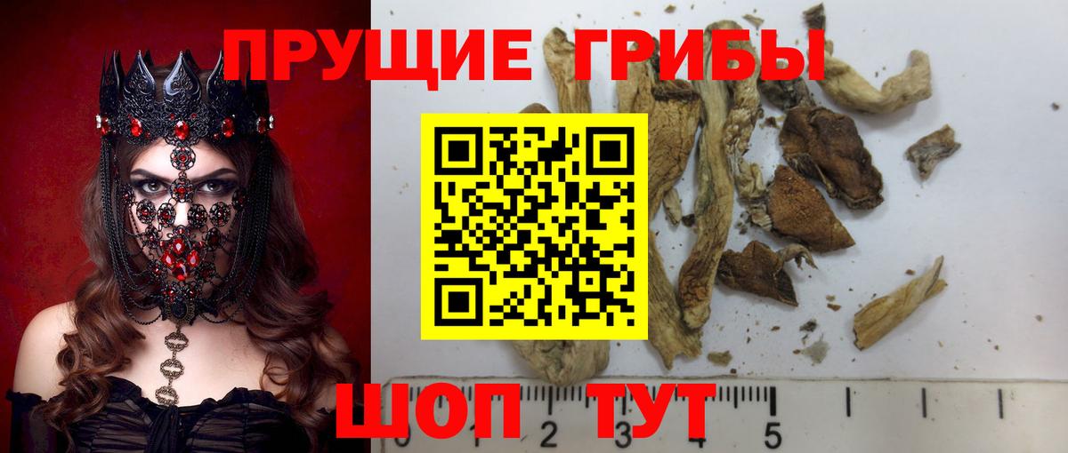 Галлюциногенные грибы MAGIC MUSHROOMS Курчатов