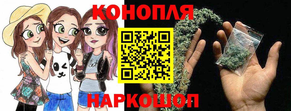 Марихуана тримм  Бошки Шишки планчик  Каннабис OG Kush  Вход с VPN  Курчатов 